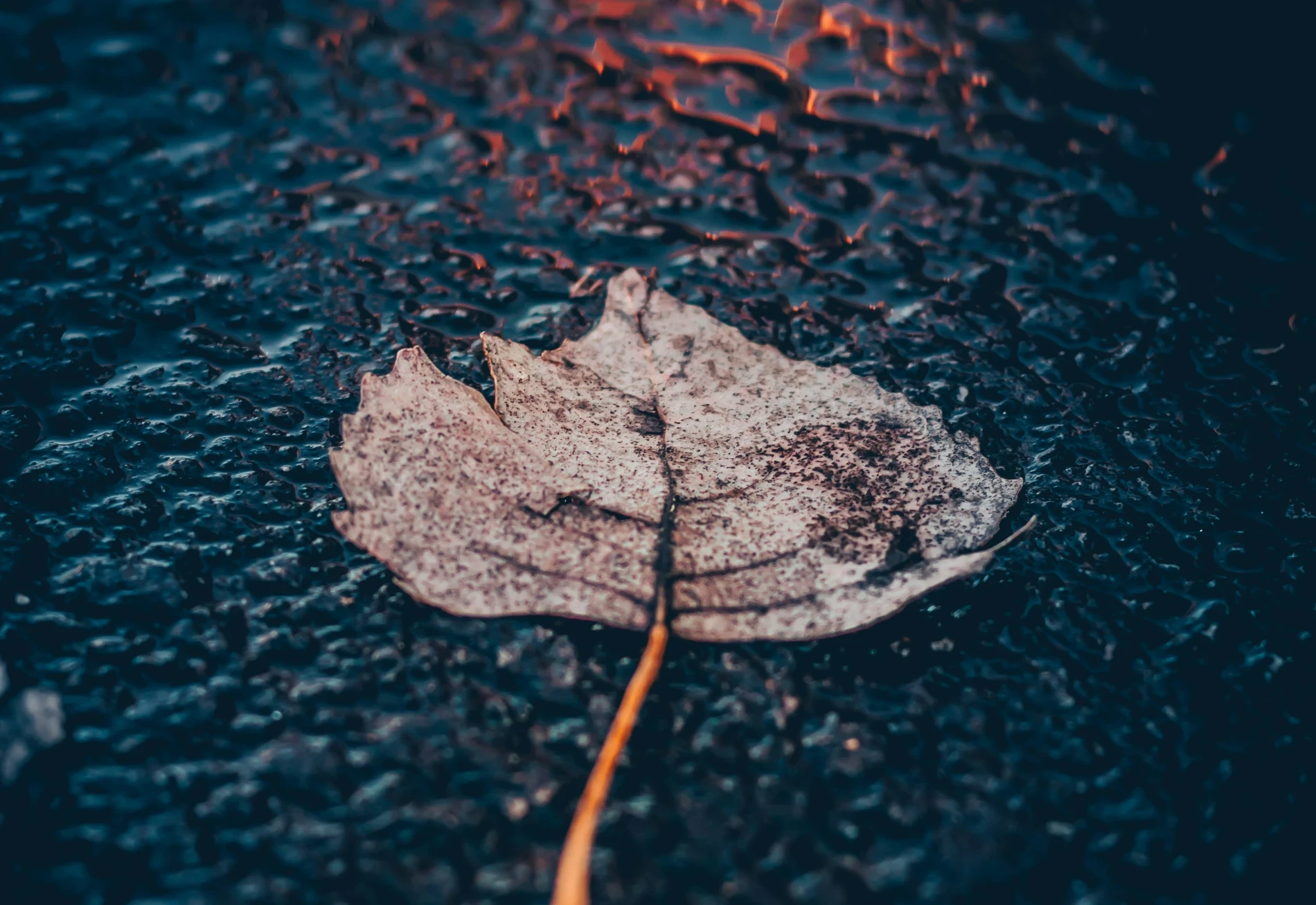 Therapy for Depression